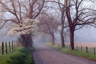 Desktop Wallpaper Great Smoky Mountains Dusty Doddridge