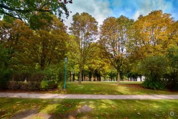 Autumn In Park Background High Quality Background