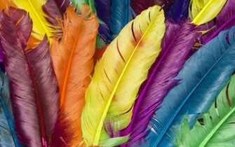 Colorful Wallpaper To Spice Up Your Desktop