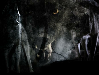 Of Wolf And Man By Nightslash