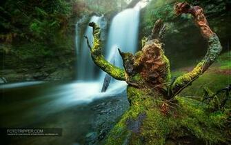 Desktop Background Fototripper
