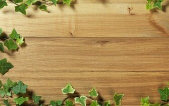 Ivy On Wooden Fence Wallpaper