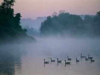 Sherry Holzkamper Kilbourn On Into The Mist