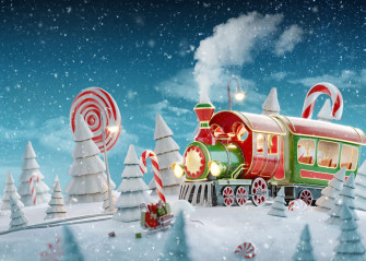 Amazon Lywygg Christmas Backdrop Winter Snowy