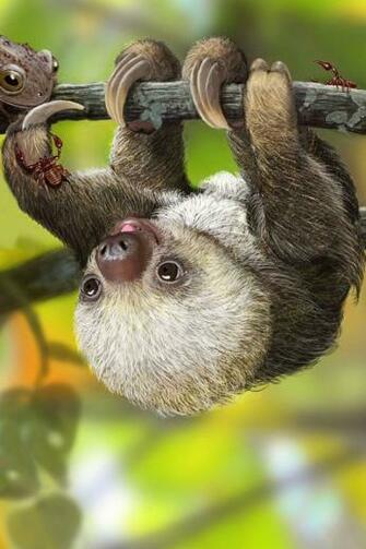 Cute Baby Sloth X Pixels