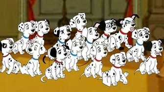Dalmatians HD Wallpaper Image Gallery