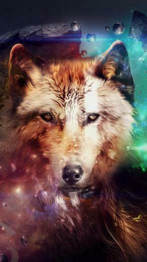 iPhone Wallpaper Multicolor Magic Wolf Head And Under
