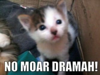 Lolcats Wide Wallpaper