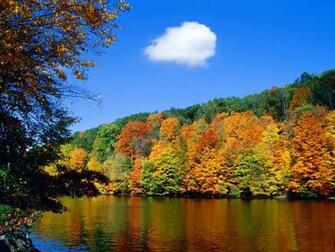 Wallpaper Colorful Nature