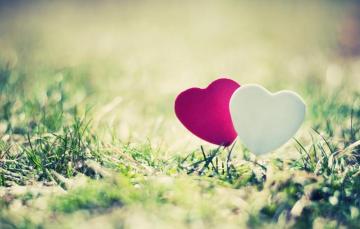 Wallpaper Greens Grass The Sun Love Landscape Nature Pink