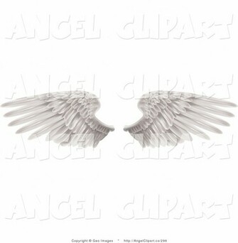 Wings Spread Open Isolated On A White Background Black Angel