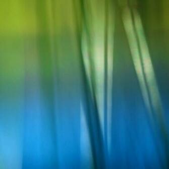 Sony Xperia T Stock Wallpaper