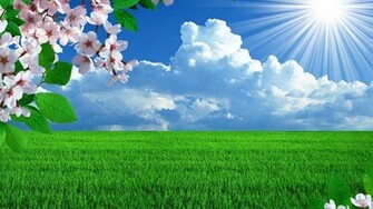 Beautiful Spring Widescreen Wallpaper