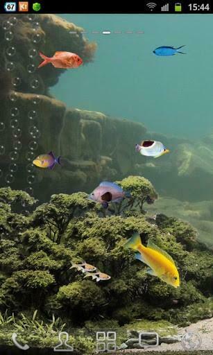 Screen Aquarium Is Saver