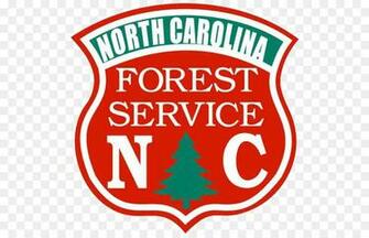 Forest Background Png Transparent United
