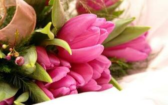 Fancy Pink Flowers Wallpaper HD