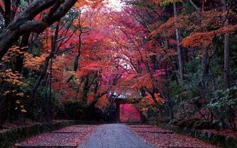 Kyoto Wallpaper High Quality