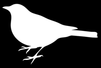 White Bird Black Back Clip Art At Clker Vector Online
