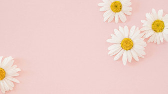 Aesthetic Computer Light Pink Wallpaper