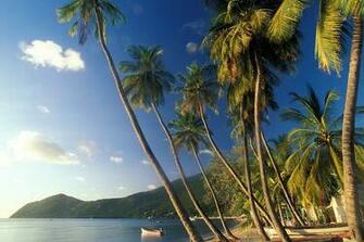 Fonds D Cran Martinique Tous Les Wallpaper