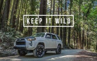 Trd Logo Wallpaper Image