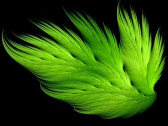 Green Color Wallpaper