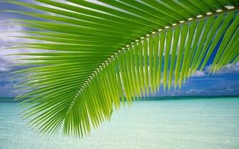 Beach Full HD Wallpaper For