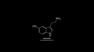 Serotonin HD Wallpaper iPhone X