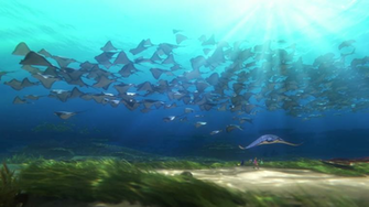 HD Screencaps From Finding Dory Movie Wallpaper