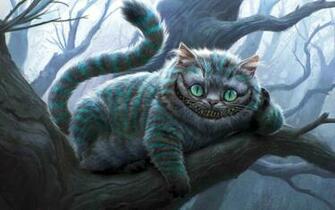 3d Wallpaper Cat HD Imagebank Biz
