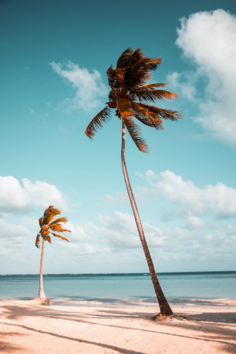 Beach Wallpaper HD Hq