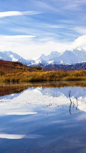 Denali National Park Wallpaper At Wallpaperbro