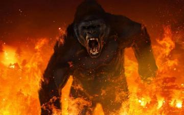 Kong Skull Island Wallpaper X