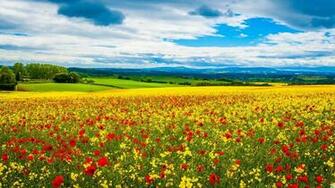 X Theme Full HD Widescreen Type Wallpaper For