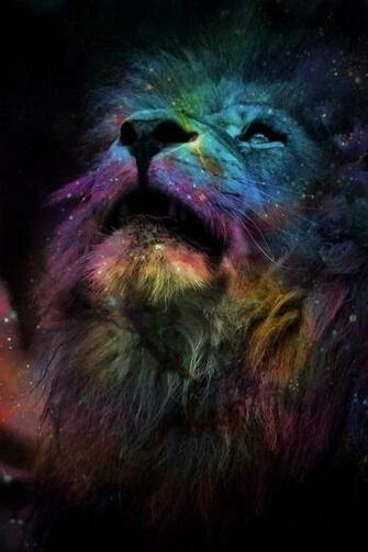 Rainbow Lion Wallpaper