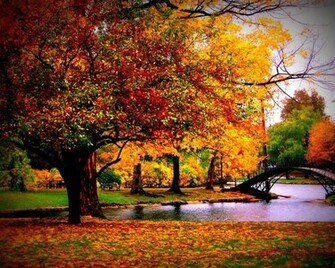 Fall Season High Quality And Resolution Wallpaper On