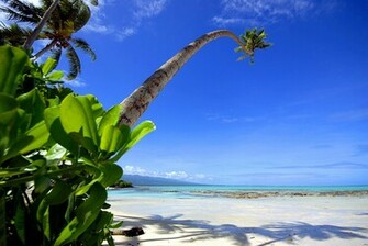 Tropical Beach Samoa Hq Wallpaper Car Pictures