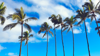 4k Summer Wallpaper