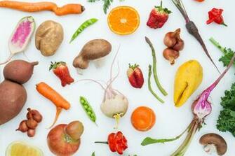 Start Up In Florida Sells Ugly Produce From Farms Bio