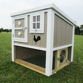The Loft Chicken Coop Up To Chickens From My Pet