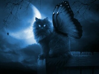 Fantasy Butterfly Cat Wallpaper