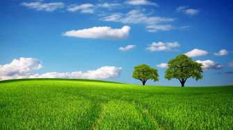 Farm Desktop Wallpaper