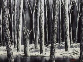 Black And White Forest Wallpaper HD Pretty