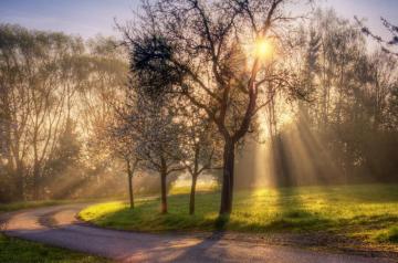 Spring Morning Wallpaper Top Background