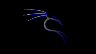 Kali Linux Wallpaper On