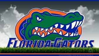 Comflorida Gators Field Gatorpaper Sports Desktop