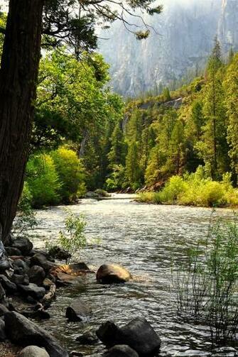 iPhone Nature Wallpaper HD Screensaver Full