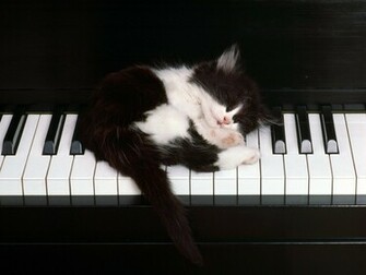 Piano Wallpaper