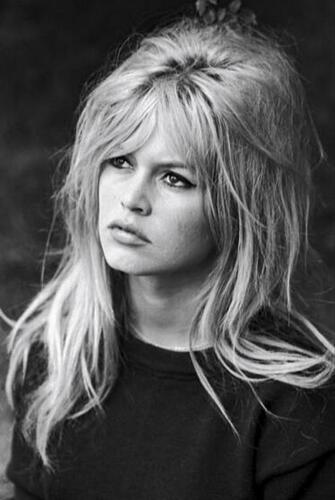 Brigitte Bardot Browser Themes Amp Desktop Wallpaper