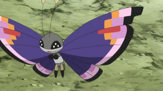 Ash Ketchum Xy Pok Mon Powered By Wikia